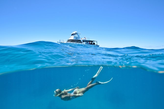 Great Barrier Reef Cruise From Townsville or Magnetic Island - Included Meals and Beverages