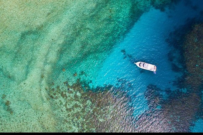 Great Barrier Reef Dive and Snorkel Cruise From Mission Beach - Meeting Point and Directions