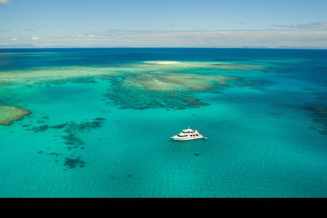 Great Barrier Reef Dive and Snorkel Cruise From Mission Beach - Maximum Group Size