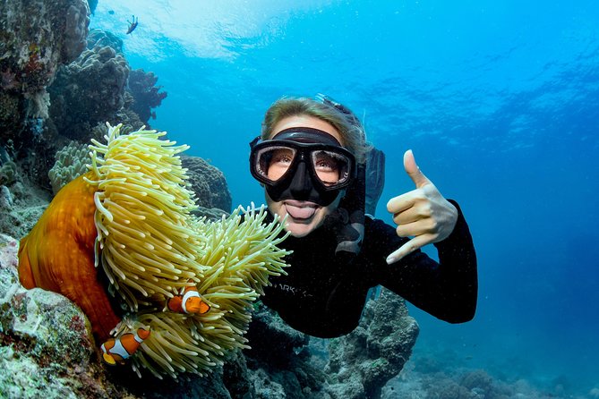 Great Barrier Reef Diving and Snorkeling Cruise From Cairns - Meeting and Pickup