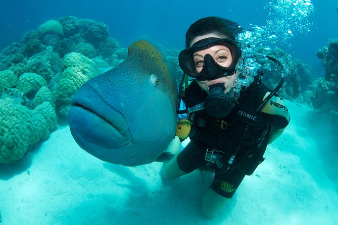 Great Barrier Reef Diving and Snorkeling Cruise From Cairns - Restrictions