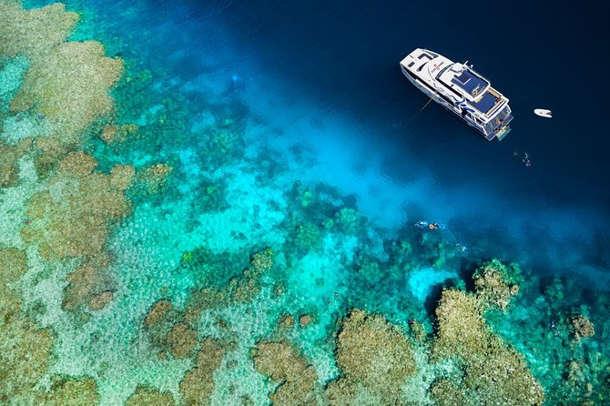 Great Barrier Reef Diving and Snorkeling Cruise From Cairns - Snorkeling Experiences
