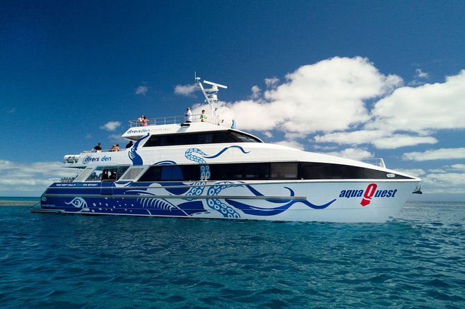 Great Barrier Reef Diving and Snorkeling Cruise From Cairns - Diving Experiences