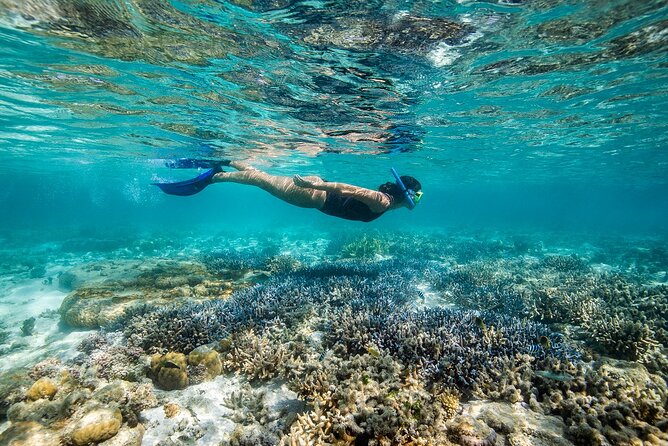 Great Barrier Reef Full Day Adventure - Accessibility and Fitness