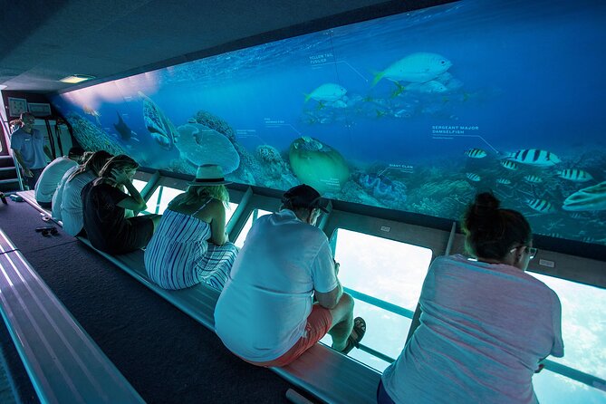 Great Barrier Reef Full Day Adventure - What to Bring