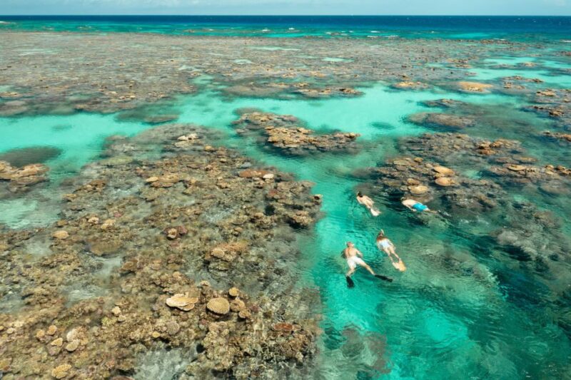 Great Barrier Reef Snorkel & Dive Full-Day Adventure - Introductory Diving for Beginners