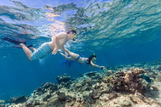 Great Barrier Reef Snorkeling and Diving Cruise From Cairns - Inclusions and Exclusions