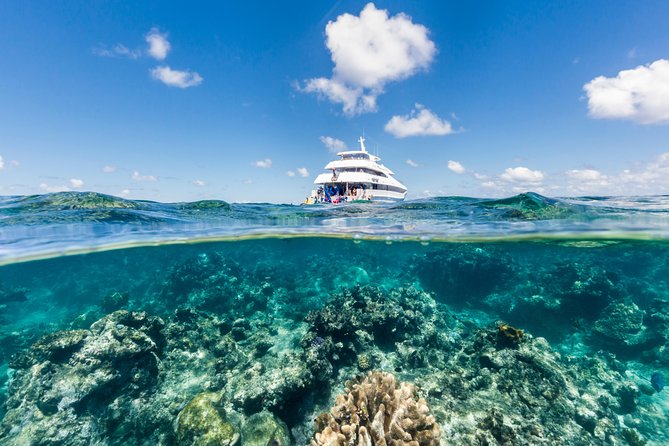 Great Barrier Reef Snorkeling and Diving Cruise From Cairns - Logistics and Accessibility
