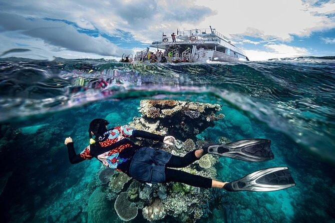 Great Barrier Reef With Cultural Guides-Dreamtime Dive & Snorkel - Unique Cultural Experience