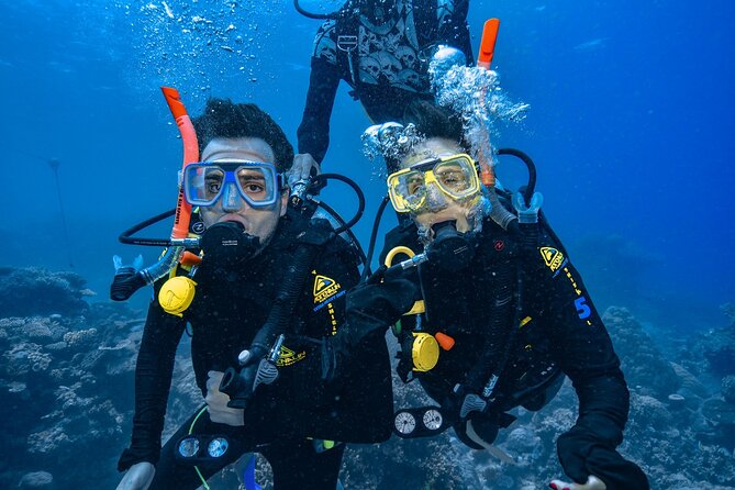 Great Barrier Reef With Cultural Guides-Dreamtime Dive & Snorkel - Detailed Tour Itinerary