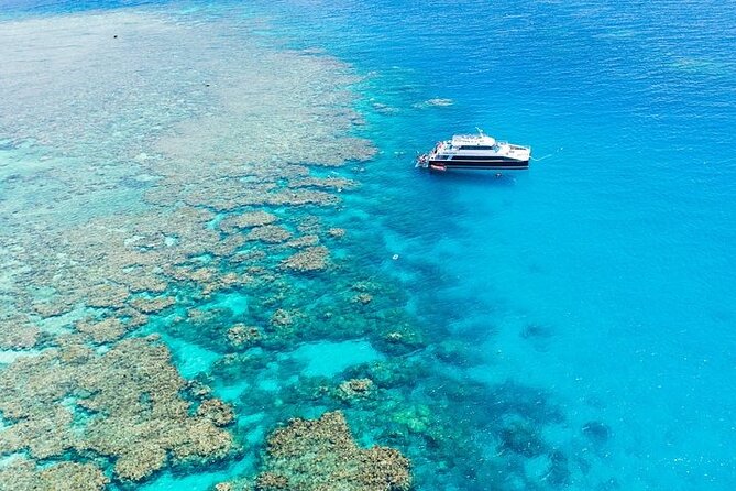 Great Barrier Reef With Cultural Guides-Dreamtime Dive & Snorkel - Inclusive Tour Features