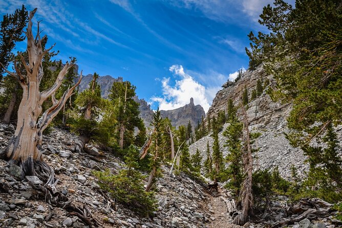 Great Basin National Park Audio Guided Tour - Frequently Asked Questions