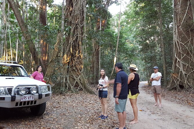 Great Beach Drive 4WD Tour - Private Charter From Noosa to Rainbow Beach - Explore Long Sandy Beaches
