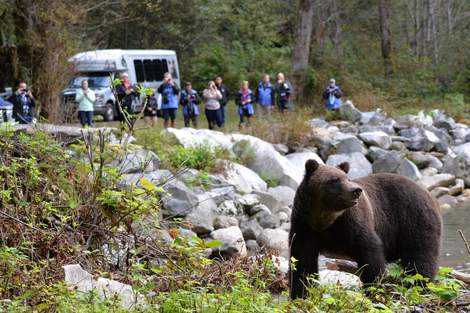 Great Bears of Bute: Grizzly Bear Viewing & Indigenous Cultural Tour - Exploring the Bute Wilderness