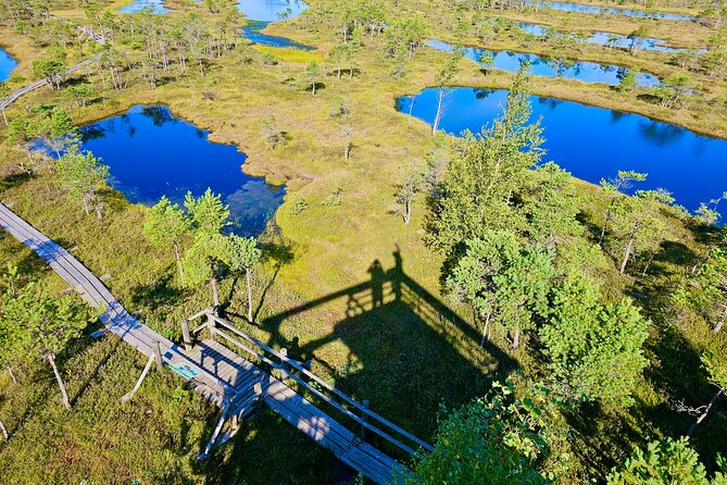 Great Bog Discovery With Optional Sunrise & Jūrmala Visit - Quick Points