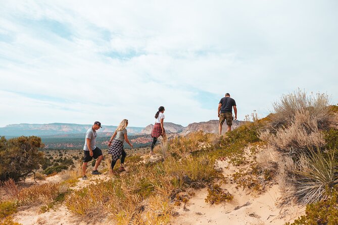 Great Chamber/Peekaboo Slot Canyon UTV Tour 4hrs - Accessibility and Restrictions