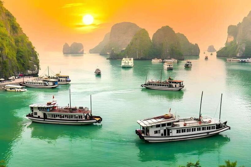 Great Experience With 5 Stars Cruise in Ha Long Bay - Tour Overview