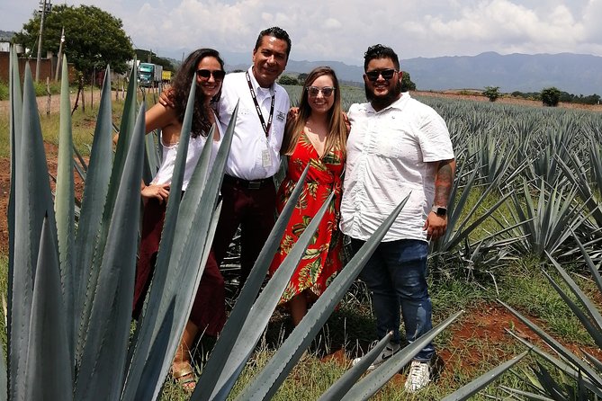 Great Experience With A Tour Guide With Spark - Tour Details