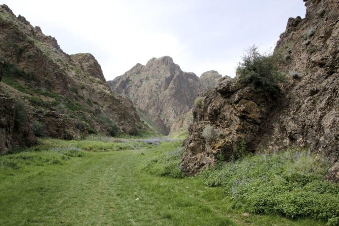 Great Gobi 7 Days Tented Tour - Group Type and Languages