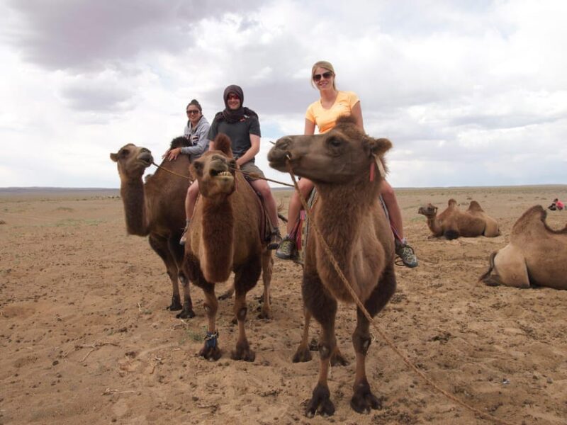 Great Gobi and Khangai Region Tour - Great Gobi Region