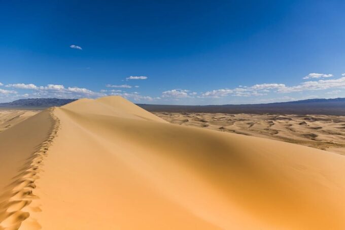 Great Gobi and Khangai Region Tour - Inclusions