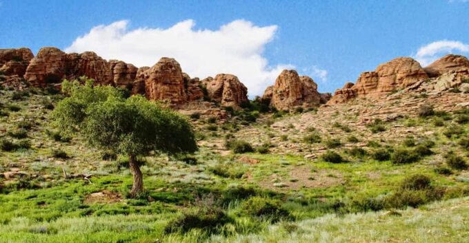 Great Gobi to Khuvsgul Lake 16 Days Tour - Driver, 4WD Vehicle, and Petrol