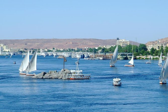 Great Hours Nubian Village Excursion From Aswan - Cultural Immersion