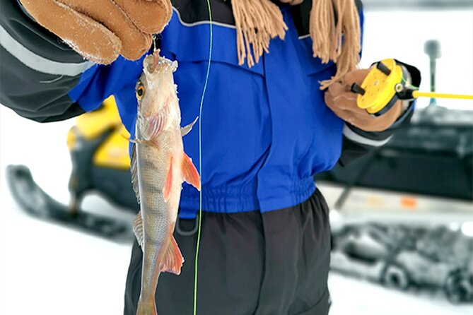 Great Ice Fishing Experience in Lapland - Enjoying Lappish Delicacies