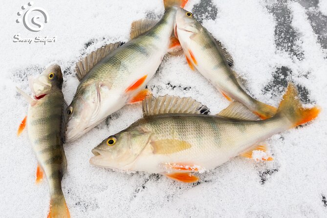 Great Ice Fishing Experience in Lapland - Making the Most of Your Experience