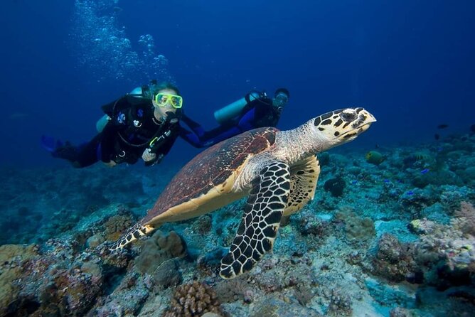 Great Keppel Island Day Trip Bundle From Yeppoon - Tour Capacity and Booking