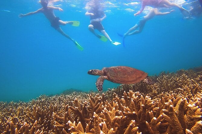 Great Keppel Island Day Trip With Lunch - Nearby Amenities