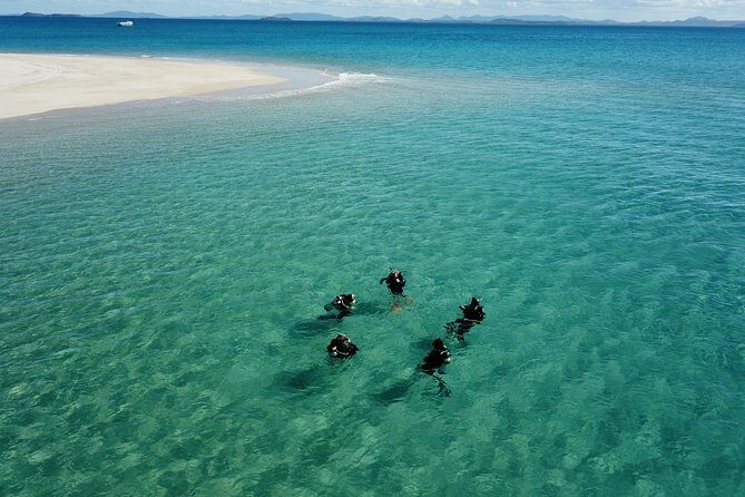 Great Keppel Island PADI Discover Scuba Dive with Keppel Dive - Key Points