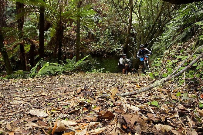 Great Lake Trail Lake Taupo 2-Day Mountain Biking Tour - Participant Information