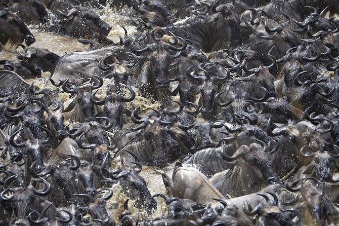 Great Migration Safari In Tanzania - Additional Information