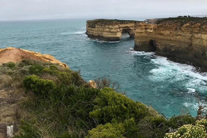 Great Ocean Road 12 Apostles Kangaroo & Koala Tour - Additional Information