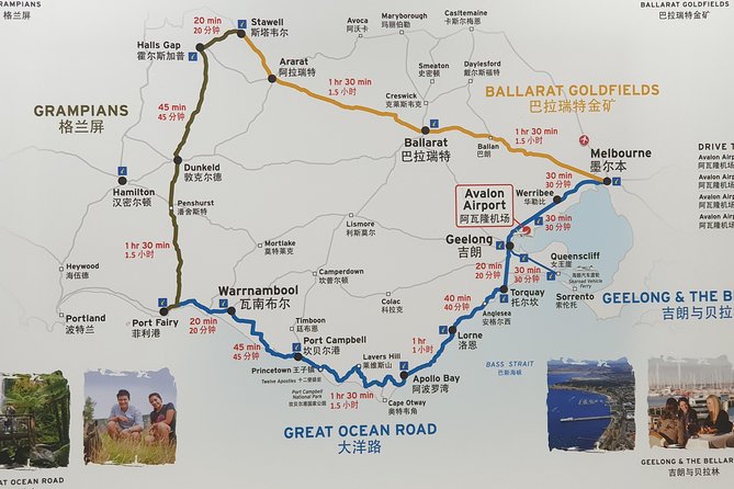 Great Ocean Road 12 Apostles Kangaroo & Koala Tour - Customer Reviews: Concerns