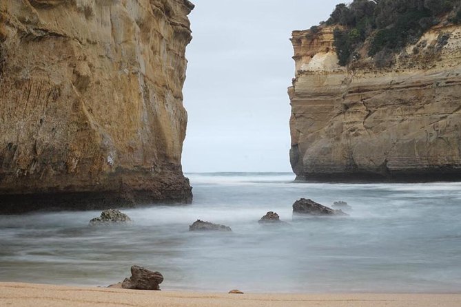 Great Ocean Road 12 Apostles Kangaroo & Koala Tour - Customer Reviews: Recommendations