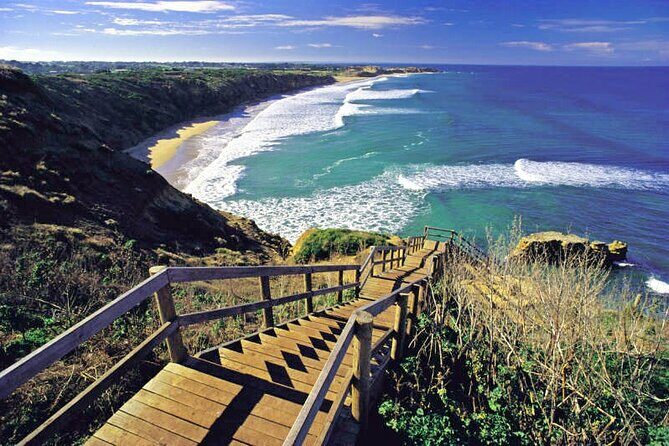 Great Ocean Road 12 apostles PRIVATE Luxury Tour 5 PAX all incl. - Detailed Review of the Tour Experience