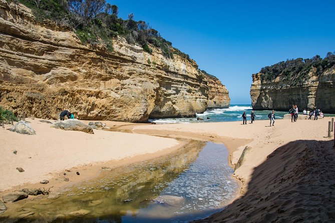 Great Ocean Road and 12 Apostles Day Trip From Melbourne - Wildlife Sightings