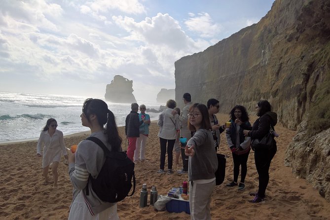 Great Ocean Road Full Day Private Experience - Pickup Locations and Options
