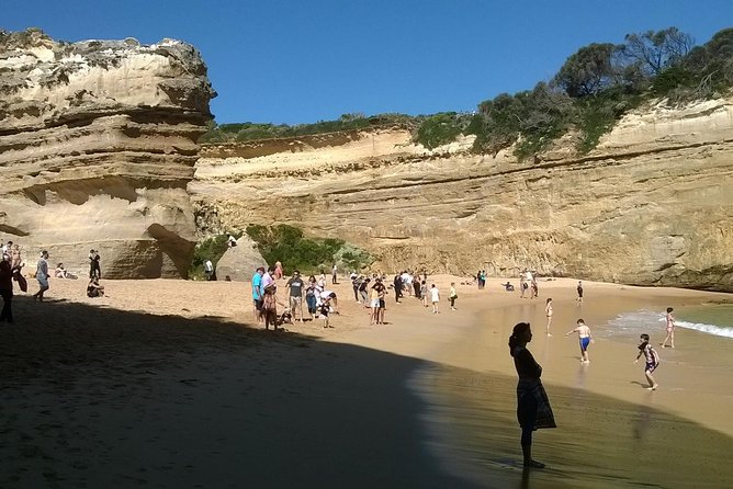 Great Ocean Road Full Day Private Experience - Customer Reviews and Ratings