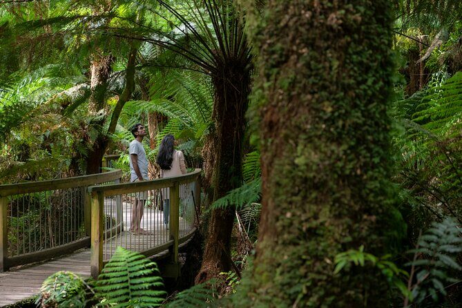 Great Ocean Road Grampians 3 Day National Park Tour Melbourne Roundtrip - Key Points