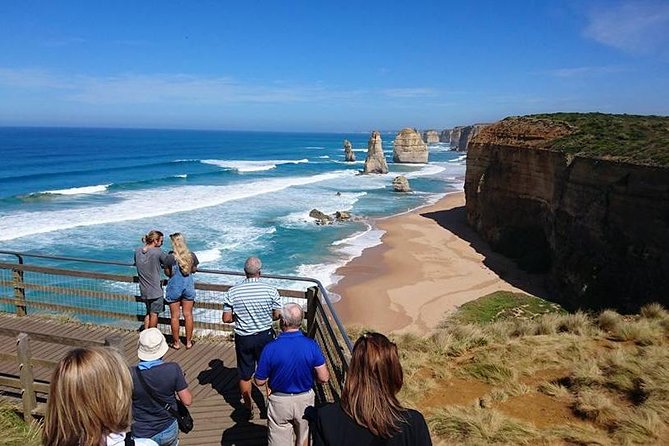 Great Ocean Road Medium Size Group Tour - Nature Walks
