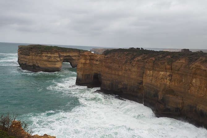 Great Ocean Road Private Day Tour - Wildlife Encounters