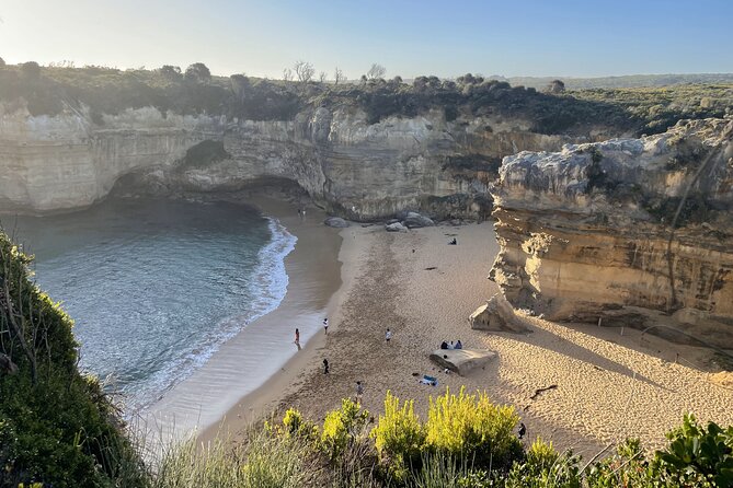Great Ocean Road to 12 Apostles Plus Rainforest Melbourne Daytour - Discovering Rainforest Wonders