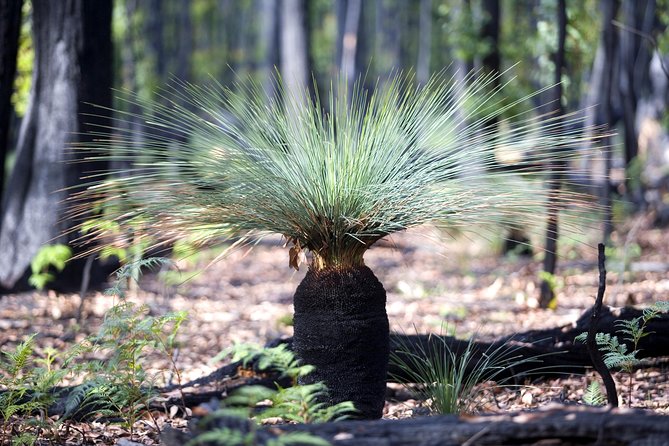Great Ocean Road to Grampians 2 Day 1 Night Tour From Melbourne to Adelaide - Booking Information