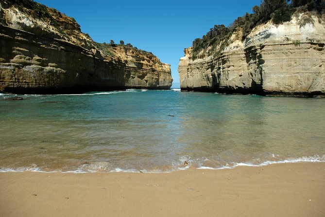Great Ocean Road Tour Plus Koalas, Forest Walk and Morning Tea - Highlights of the Great Ocean Road