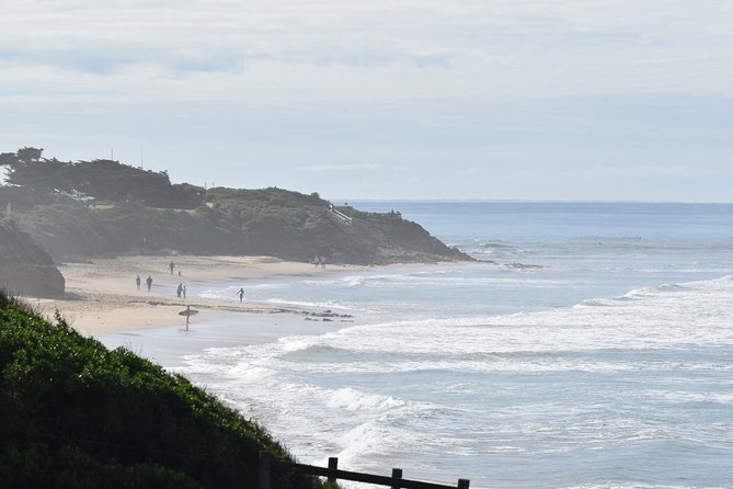 Great Ocean Road Tour Plus Koalas, Forest Walk and Morning Tea - Enjoying Morning Tea