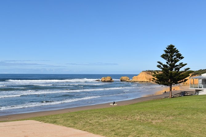 Great Ocean Road Tour Plus Koalas, Forest Walk and Morning Tea - Exploring Loch Ard Gorge