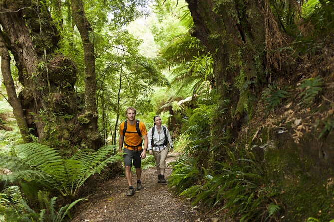 Great Ocean Walk Highlights Hiking Tour - 4 Days - Physical Fitness Requirements
